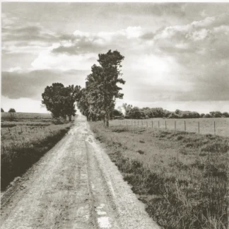 Kansas Muddy Road by David Berry
