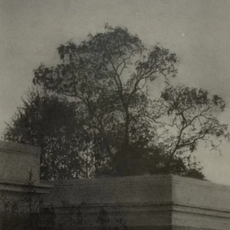 Twilight Silhouette, Monticello Lee by Craig Brodfuehrer