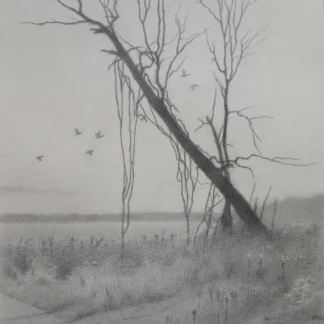 Tethered, Dyke Marsh Preserve by Craig Brodfuehrer