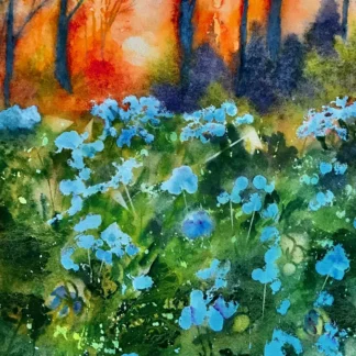 Bluebell Season by Noreen Brunini