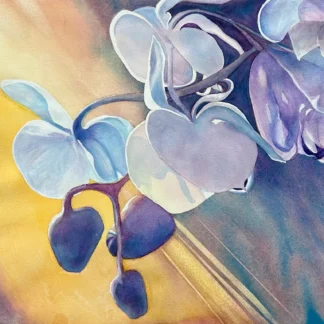Orchid Spray by Noreen Brunini
