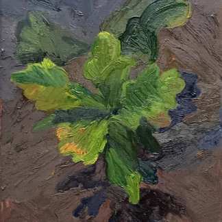Oak View by Amanda Buckley