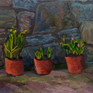 Buds by Amanda Buckley