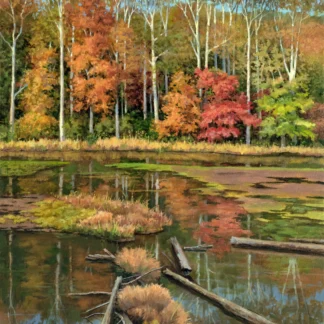 Autumn at the Lake by Ray Burns