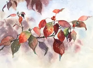 Autumn Dogwood by Gwen Bragg