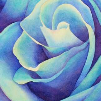 Rose in Blue by Rachel Collins