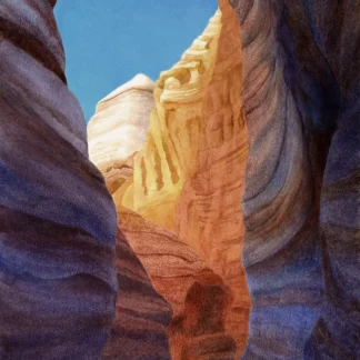 Emerging from the Slot Canyon by Rachel Collins
