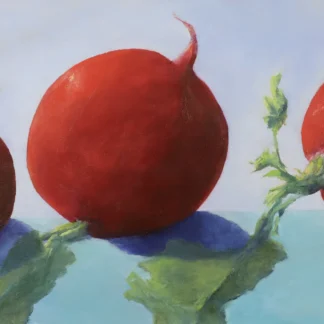 Red, Red Radishes by Sarah Clayton Davis