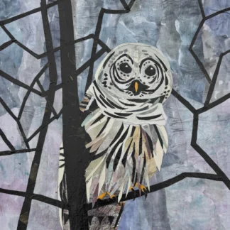 Barred Owl in Forest by Diane Dunn