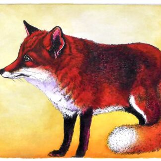 Fox Waiting by Viviane De Kosinsky