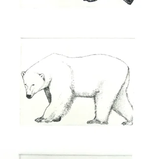 Bear Trio by Viviane De Kosinsky