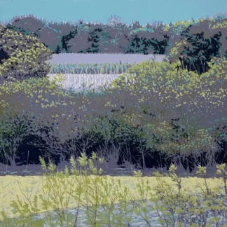 Cape May Marsh by Ellen Delaney