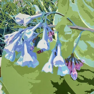 Virginia Blue Bells by Ellen Delaney