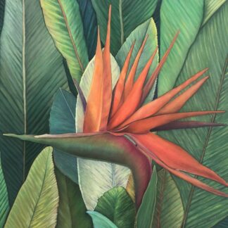 Paradise by Lisa Devore
