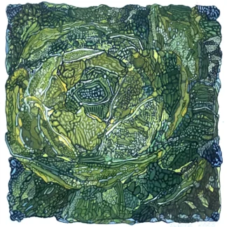 Cabbage by Lisa  Devore