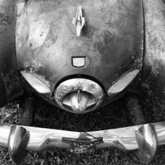 AUTO Study 1 by Barry Dunn