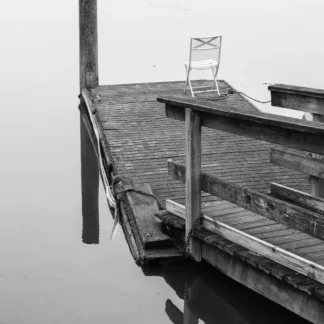 Quiet by Barry Dunn