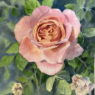 Apricot Dream by Irina Eaves