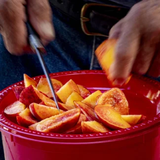 Fresh Peach Bites by Gaetana Ebbole