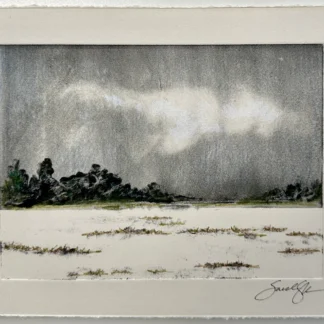 January Snow by Sarah Entsminger