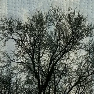 Winter Sky by Sarah Entsminger