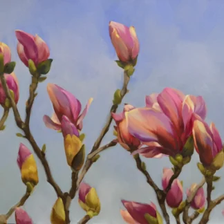 Light Air by Ellyse Stauffer