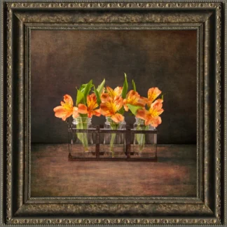Orange Alstroemeria by Tina Falkenbury