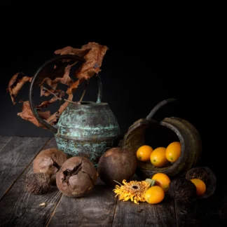 Still Life #3 by Tina Falkenbury