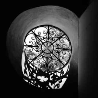 Shadows by Tina Falkenbury