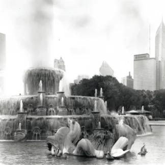 Buckingham Fountain Sea Horses by Dede Faller