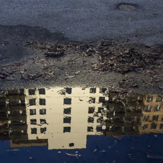 Alexandria Reflection by Sharon Fields