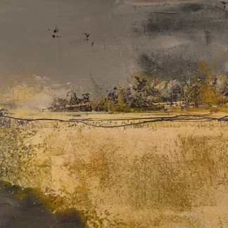 Amber Waves by Susan Fine