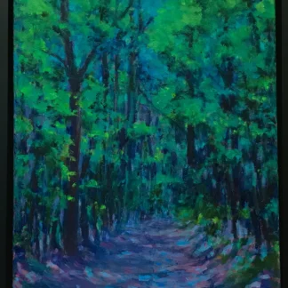 A Walk in The Woods by Sheila Flanders