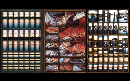 Frances Borchardt, “Prints In Pieces: Views of South County” (2011)