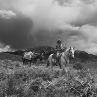 Stormy Sierras by Shannon Gilmore