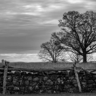 Undeveloped by Shannon Gilmore