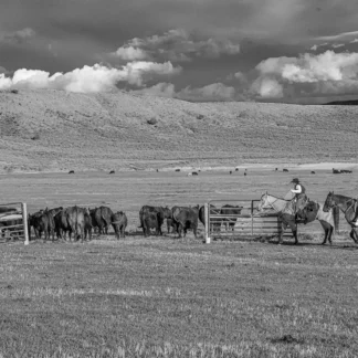 Heading Home by Shannon Gilmore