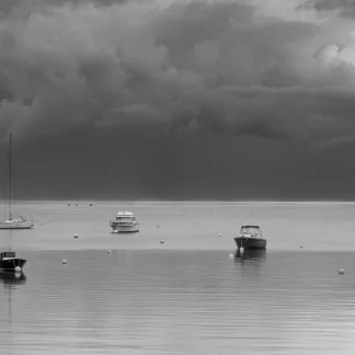 Mangove Bay November Day by Shannon Gilmore
