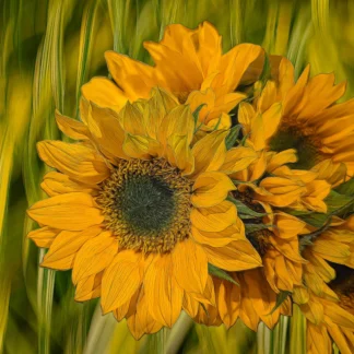 Sunflowers by Georgette Grossman