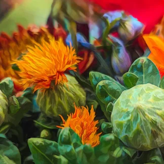 I Love Orange by Georgette Grossman