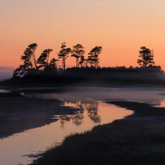 Chincoteague Sunrise by Georgette Grossman