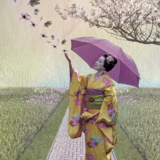 The Geisha Touch by Judy Guenther