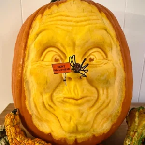 Teen Sculptural Pumpkin Craving  13 Yrs up