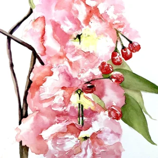 Blooms by Tara Hamilton