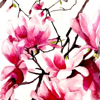 Magnolia Burst by Tara Hamilton