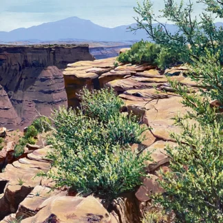 Canyon Rim by Sara Harland