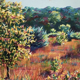 Autumn in New York State by Sara Harland