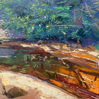 Black Water Canyon by William Hendricks
