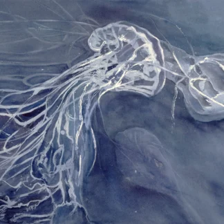 Adrift by Linda Holz