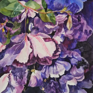 Clematis by Linda Holz